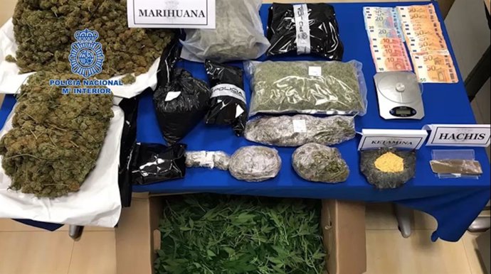 Archivo - Plantación de marihuana desmantelada en Ibiza