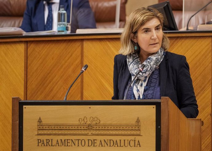 La consejera de Empleo, Rocío Blanco, este jueves en la tribuna del Pleno del Parlamento.