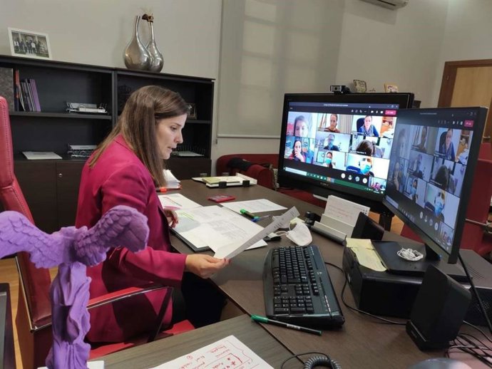 La consejera de Igualdad, Isabel Gil Rosiña, en videoconferencia