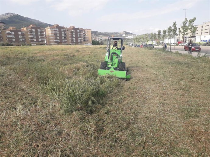 Trabajos de desbroce y limpieza en un solar.