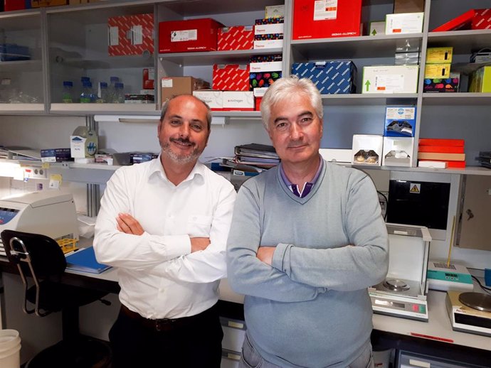 Archivo - Los investigadores Alberto Ocaña (i) y Atanasio Pandiella (d) en un laboratorio