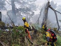 Estabilizan un incendio en Alcúdia que ha afectado a 1,5 hectáreas de pinar