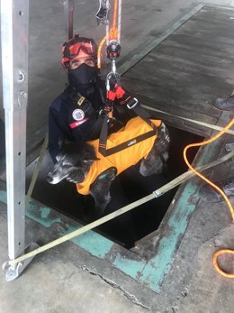 Arnés para el rescate de mascotas