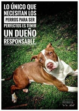 Archivo - Cartel de la Policía instando a los dueños de perros potencialmente peligrosos a ser responsables