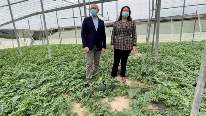 La consejera de Agricultura, Carmen Crespo, en una imagen de su visita a un invernadero en Almería.
