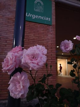 Archivo - Una mujer espera a ser atendida en el centro de salud de Mairena del Aljarafe.
