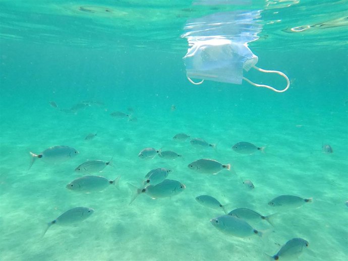Medio Ambiente habilita la inscripción para el programa Let's Clean Up de acciones de concienciación ambiental.