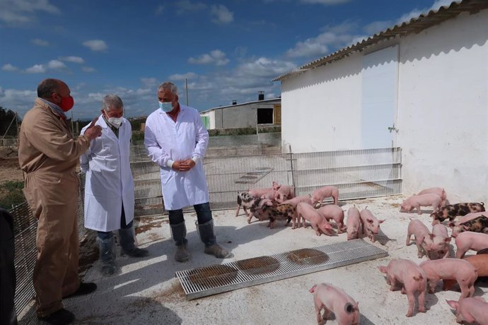 El conseller insular Jaume Alzamora ha visitado la granja de Restaurants Carreras Mascaró.