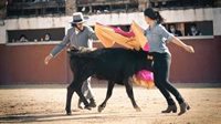 Monasterio y Abascal se unen en un vídeo electoral a Morante de la Puebla para defender la tauromaquia
