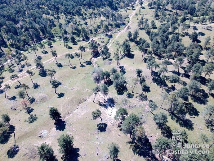 Zona en la que se ha evacuado al varón.