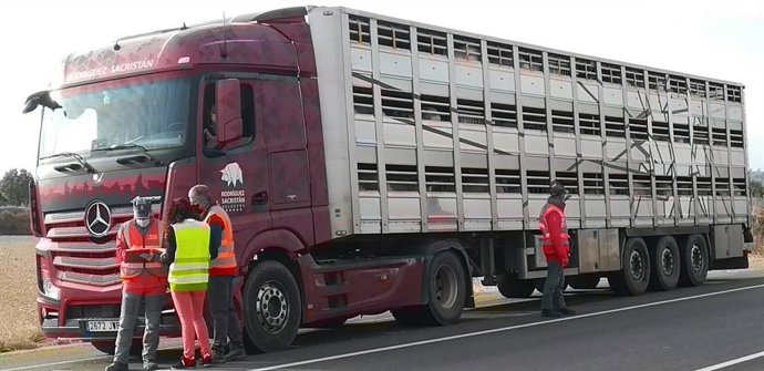 Policía Foral inspecciona un vehículo de transporte animal en carretera N-113