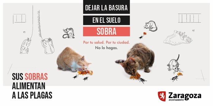 Cartel que alerta del riesgo que tiene dar de comer a palomas, patos o gatos en la vía pública en Zaragoza