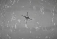 El helicóptero Ingenuity levanta el vuelo en Marte