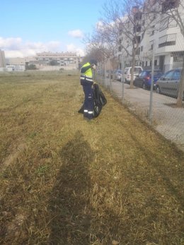 Un operario limpiando uno de los espacios de ocio canino de Palma.