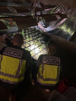 Policía Nacional detiene a cuatro personas por tráfico de drogas