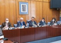 El Defensor del Pueblo Andaluz ve "necesaria" la Ley Antifraude para evitar "desigualdad" en la protección de derechos