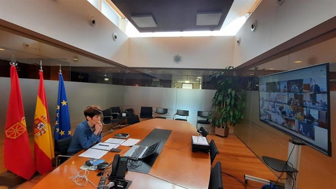 La consejera Saiz en un momento de la reunión telemática que ha mantenido la Conferencia Sectorial