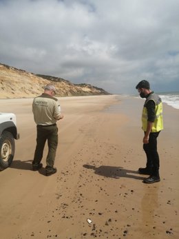 Activado el plan de emergencia por manchas de hidrocarburo en el litoral de Huelva