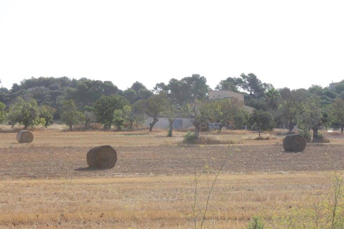 Archivo - Recurso paisaje agrario