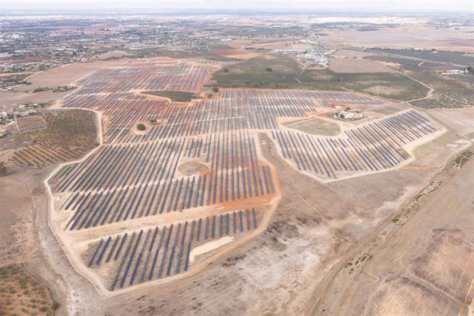 Archivo - Planta fotovoltaica construida por OPDEnergy en Alcalá de Guadaíra (Sevilla).