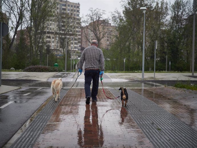 Archivo - Un hombre paseando a sus perros en Pamplona
