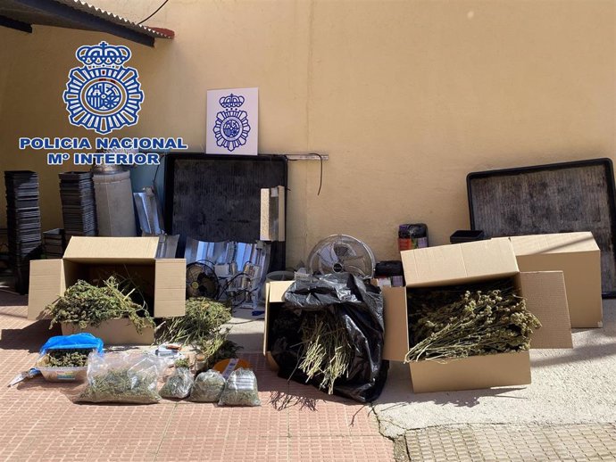 La Policía Nacional desmantela una plantación "indoor" de marihuana en Alcázar de San Juan.