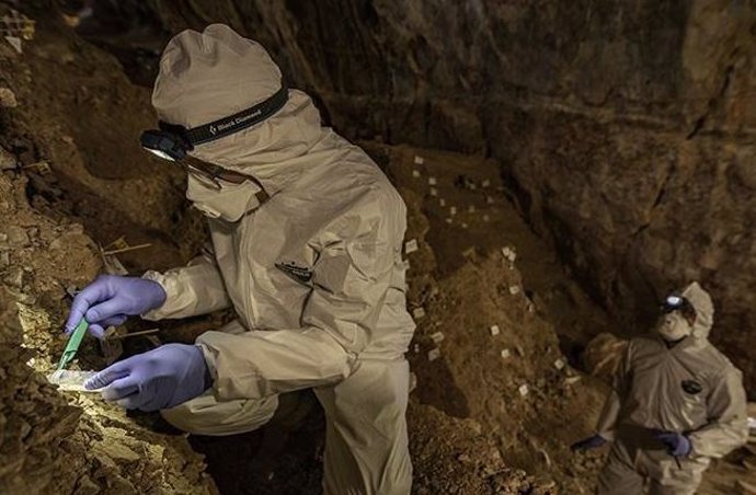 Recolección de ADN antiguo obtenido del suelo de una cueva en México