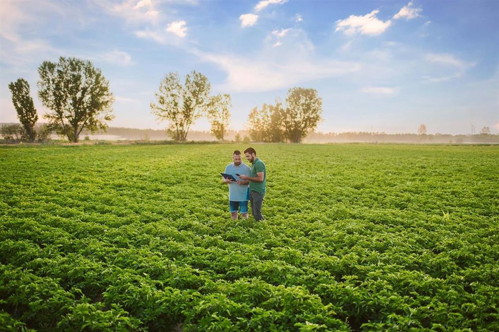 PepsiCo apoya a la agricultura española