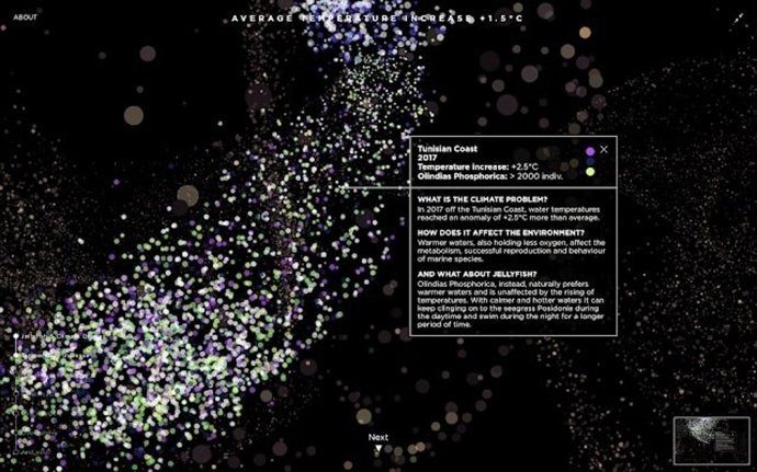 Mapa interactivo de medusas.