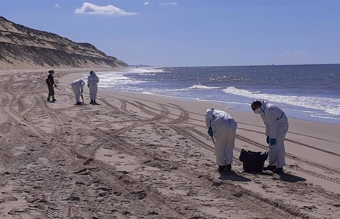 Miembros de uno de los equipos de recogida de los restos de la mancha de hidrocarburos trabajan en la zona de Matalascañas.