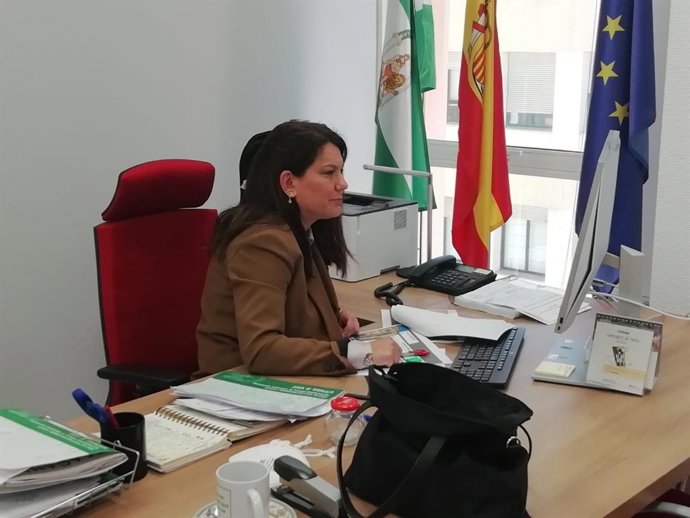 María Jesús Herencia, delegada territorial de Turismo de la Junta en Cádiz