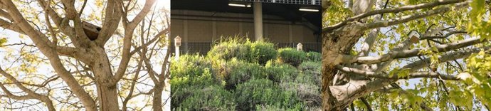 Plan de sostenibilidad y biodiversidad Vallsur