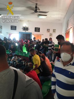 Reñidero de gallos intevenido en Villamartín