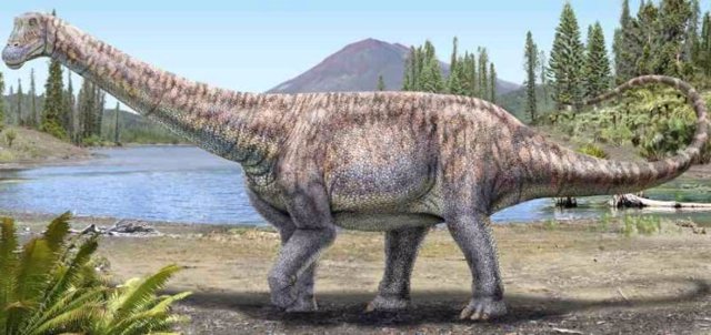 El Arackar licanantay corresponde a una especie del grupo de los titanosaurios, animales herbívoros, cuadrúpedos, de cabeza pequeña y de cuello y cola larga.