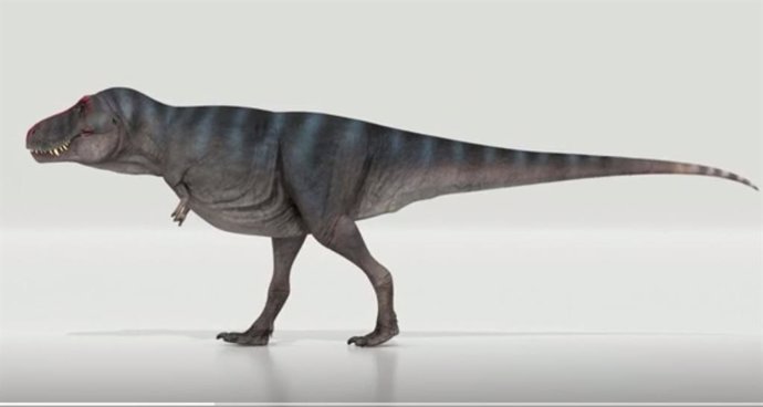 Una animación de T.Rex Trix caminando según las simulaciones de Van Bijlert et al 2021. La cola resuena, lo que permite una marcha más realista y un poco más lenta.