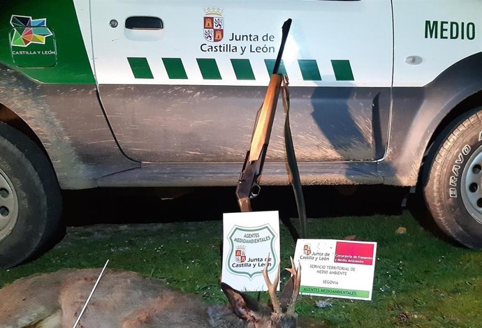 Arma y ejemplar decomisados en Orejana (Segovia).