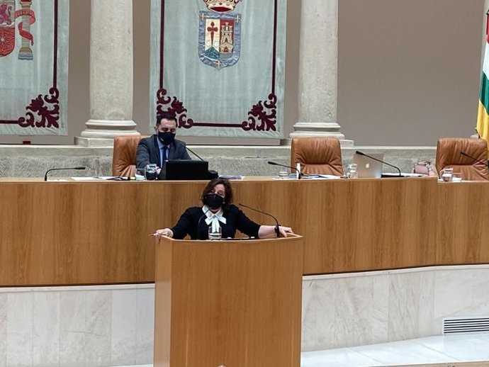 La diputada de IU, Henar Moreno