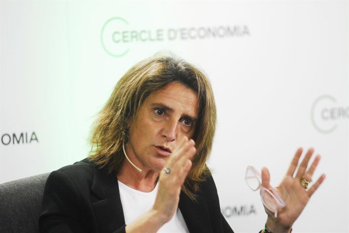 Archivo - La vicepresidenta cuarta y ministra para la Transición Ecológica del Gobierno, Teresa Ribera interviene en la presentación del documento 'Green Deal: Retos y oportunidades en la transición hacia un modelo socioeconómico sostenible' del Cercle 