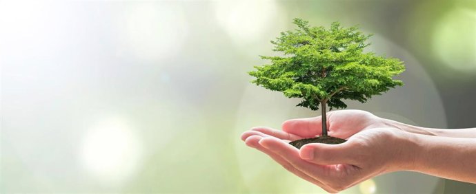 Emprendimiento verde