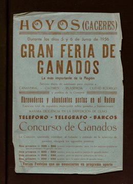 El archivo municipal de Hoyos se suma a los fondos digitalizados por la Diputación de Cáceres