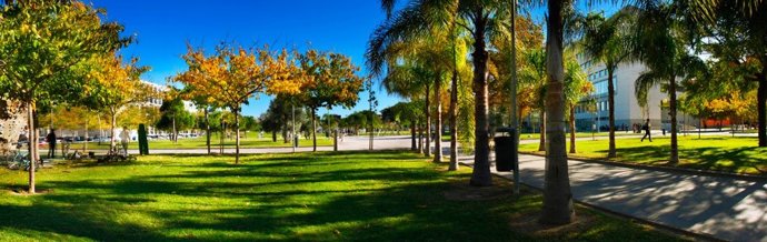 Campus de la Universitat Politcnica de Valncia (UPV)