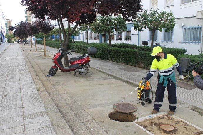 Un operario trabaja en la campaña de desinsectación preventiva en Huelva.