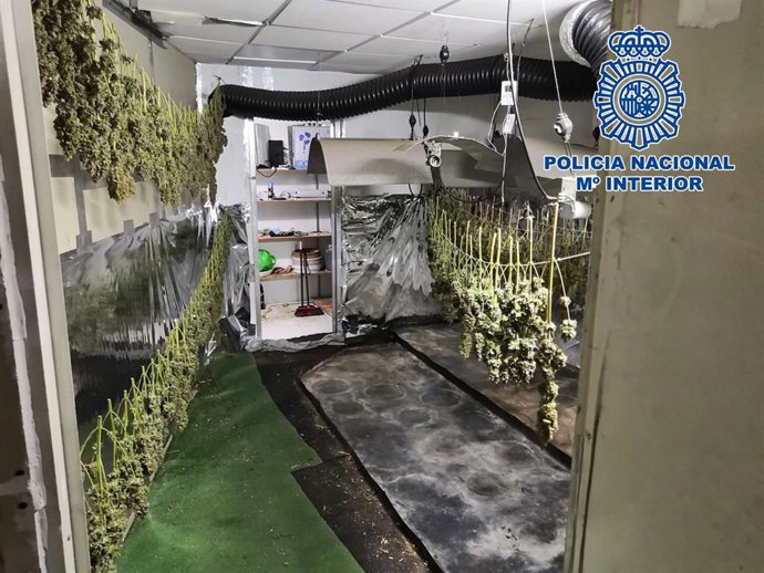 Nave acondicionada en la Rambla Amatisteros de Almería para el cultivo de marihuana