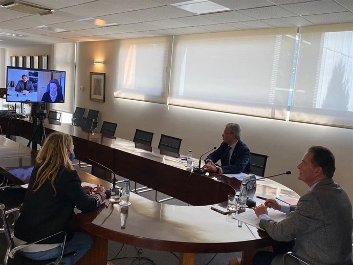 Reunión telemática de responsables de la Cámara de Comercio de Gijón y de la Cámara de Comercio de Nantes (Francia)