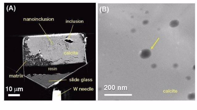 Inclñusiones en un grano de calcita en el meteorito Sutter's Mill reconocido por nanotomografía de rayos X. (B) Imagen TEM de una no inclusión llena de fluido portador de CO2 (indicada con una flecha)
