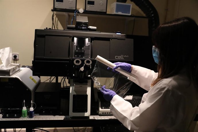 Archivo - Microscopio