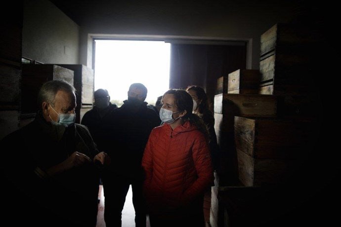 La candidata de Más Madrid a las elecciones autonómicas del 4 de mayo, Mónica García