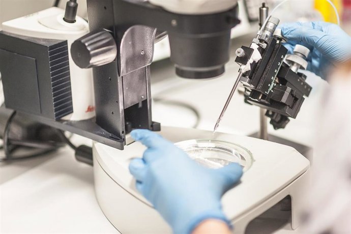 Archivo - Investigadores analizan oportunidades de innovación en 'Vida Sana'