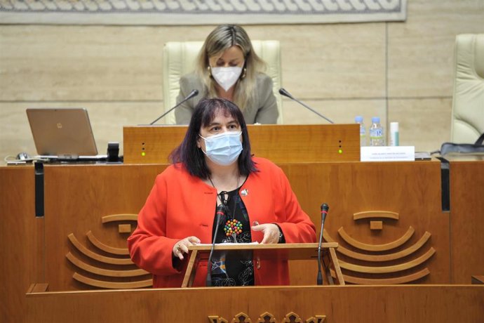La consejera de Agricultura, Desarrollo Rural, Población y Territorio, Begoña García Bernal, comparece en la Asamblea