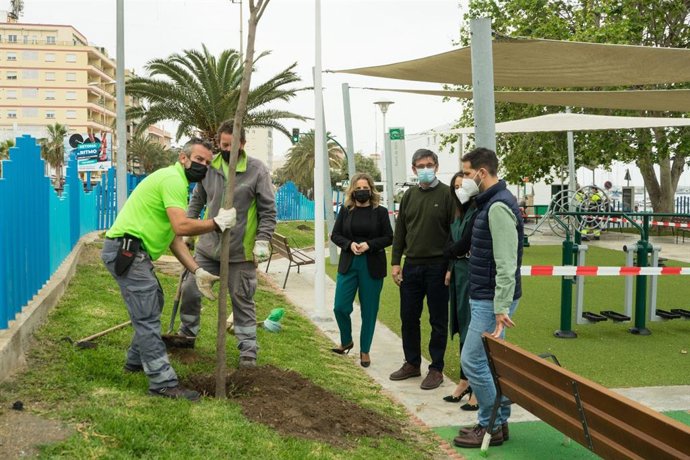 Plantación de árboles en Adra (Almería)